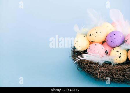 Multicolored motley Easter eggs in a nest on a blue background with a copy space for the text.  Stock Photo