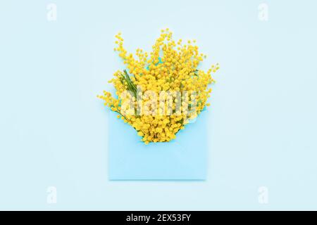 Mimosa flower in an envelope on light blue background. Spring, Mothers Day, or Women's Day concept. Top view, copy space Stock Photo