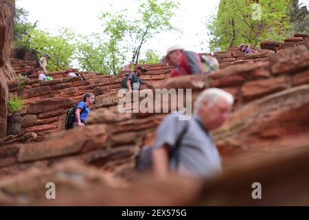 Walter's Wiggles On The Angels Landing Trail, Zion National Park, Utah ...