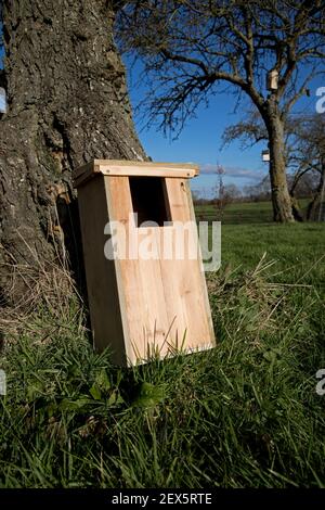 Nestbox for woodpecker, little owl or greater spotted woodpeckers made from recycled timber Stock Photo