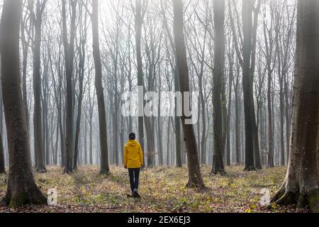 Woman wearing a yellow jacket walking through misty forest. Stock Photo