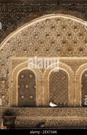 Morocco,Fez,Bou Inania Medersa, built between 1350 and 1355 pigeons nesting on wall. Stock Photo