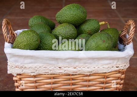 Overhead shot of four green avocados in a rectangular shaped straw fruit  basket Stock Photo - Alamy