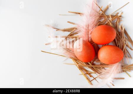 Easter composition - orange painted eggs and feathers in a nest. Place for your text. Stock Photo