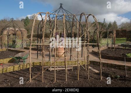 Arch or Wigwam Being Built from Hazel Sticks to Support Climbing Plants and Vegetables in a Potager Garden in Rural Devon, England, UK Stock Photo