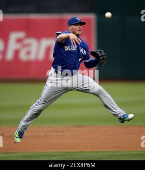 Josh Donaldson #20 of the Toronto Blue Jays puts on his helmet as