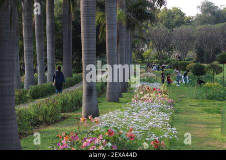 People in Nehru Park, New Delhi. Beautiful flowers blooming during the spring season. Stock Photo