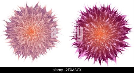 Spiral vector flower in purple and violet color with orange center, set of two Stock Vector