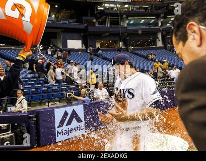 St. Petersburg, FL. USA; New York Yankees designated hitter Matt Carpenter  (24) hits a pop fly to Tampa Bay Rays center fielder Kevin Kiermaier (39  Stock Photo - Alamy