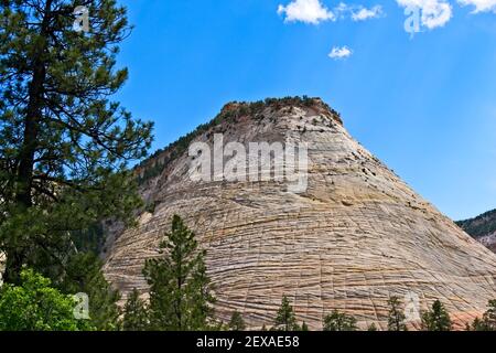 Checkerboard Mesa located in Zion National Park in the Southwest US. Stock Photo
