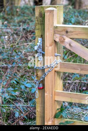 A padlock, chain and latch on a new wooden gate and gate post. Stock Photo
