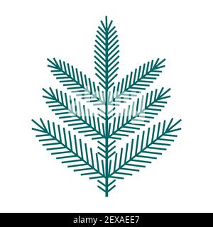 Simple minimalistic green branch of a spruce with needles. Floral collection of elegant plants for seasonal decoration. Stylized icons of botany. Stoc Stock Vector
