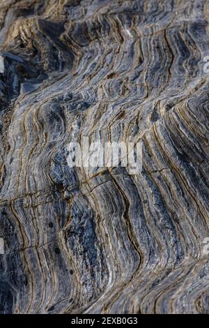 Rock strata background, Roseland Peninsula, Cornwall, UK Stock Photo
