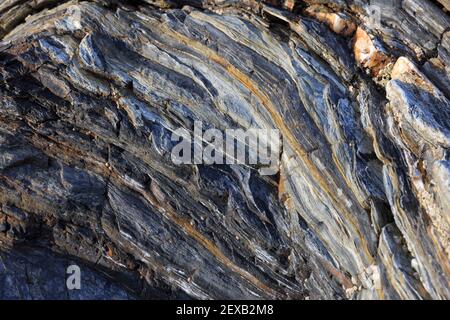 Rock strata background, Roseland Peninsula, Cornwall, UK Stock Photo