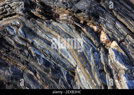 Rock strata background, Roseland Peninsula, Cornwall, UK Stock Photo