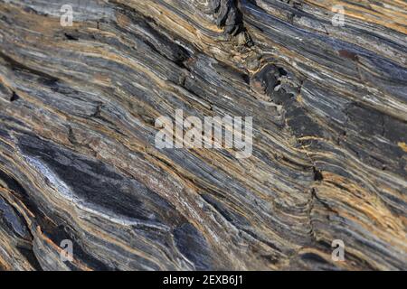 Rock strata background, Roseland Peninsula, Cornwall, UK Stock Photo