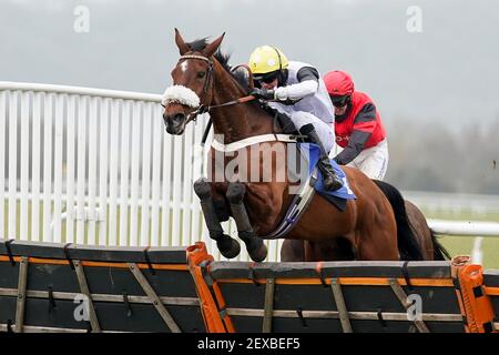 Miss Honey Ryder ridden by jockey Caoilin Quinn clear the last to win The Central Motors Chard Handicap Hurdle at Taunton Racecourse. Picture date: Thursday March 4, 2021. Stock Photo