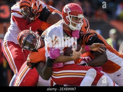 Cincinnati Bengals defensive tackle Geno Atkins (97) against the San  Francisco 49ers during an NFL football game in Santa Clara, Calif., Sunday,  Dec. 20, 2015. (AP Photo/Eric Risberg Stock Photo - Alamy