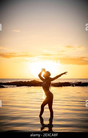 Yoga pose silhouetter with sunset background vector 01 free download