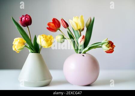 yellow, red and purple tulips in a vase against the white backgr Stock Photo