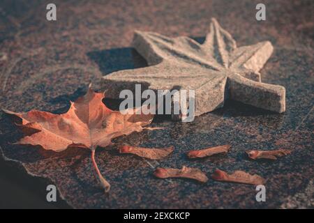 autumn maple leaves model and sculpted in granite on polished stone Stock Photo