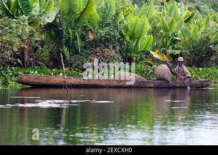 Fisherman paddling in traditional handmade wooden pirogue canoe, with traditional woven basket, wooden fishing equipment, Maroansetra, Madagascar Stock Photo