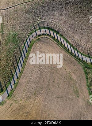 Top aerial view road surraunded with cypresses running in plowed field. Classical Tuscany views and traveling concept. Stock Photo