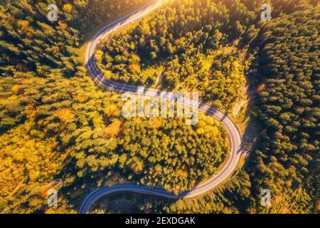 Aerial view of mountain road in beautiful forest at sunset Stock Photo