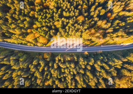 Aerial view of mountain road in beautiful forest at sunset Stock Photo
