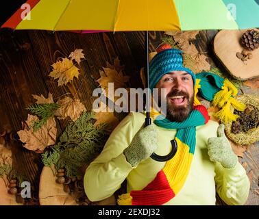 Rainy weather forecast concept. Hipster wear knitted hat and gloves expect rainy weather hold umbrella. Man bearded lay on wooden background with leaves top view. Fall atmosphere attributes. Stock Photo