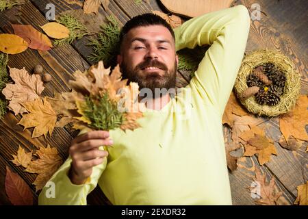 Hipster with beard enjoy season hold autumn leaves bouquet. Fall and autumn season concept. Man bearded smiling face lay on wooden background with orange leaves top view. Fall atmosphere attributes. Stock Photo
