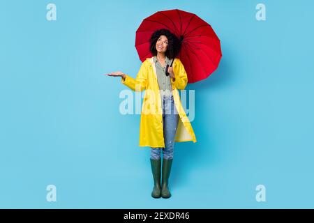 Photo of adorable sweet dark skin lady wear yellow overcoat walking holding red parasol arm feel rain drops isolated blue color background Stock Photo
