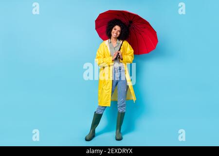 Photo of funky adorable dark skin lady wear yellow overcoat walking holding red parasol isolated blue color background Stock Photo