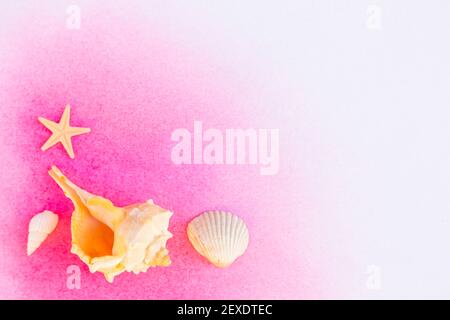 sea shells and starfish background Stock Photo