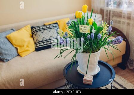 Mother's day present. Pot with blooming spring yellow flowers, gift box and greeting card waits for mom at home. Surprise for holiday with 2021 colors Stock Photo