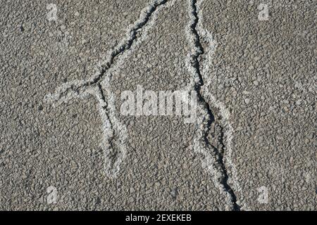 Cracks in asphalt pavement are lined with the residue from road salt. The salt is used in winter to prevent ice from forming and add traction to the r Stock Photo