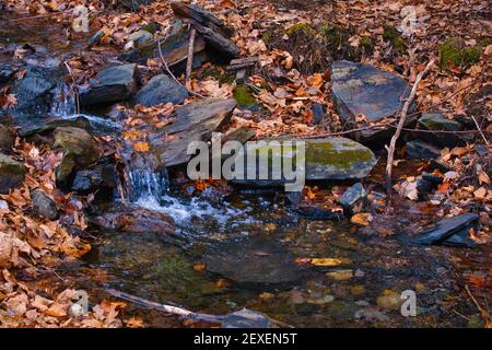 A small waterfall is formed in a stream in the forest. During autumn, the water flows over rocks, surrounded by fallen orange leaves. Stock Photo