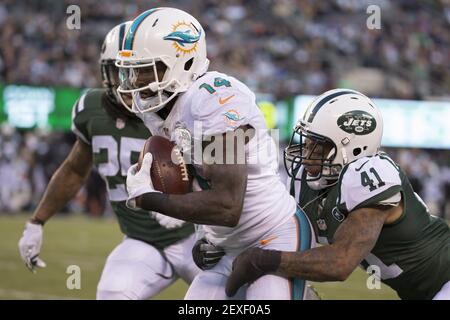 November 29, 2015, Miami Dolphins running back Lamar Miller (26