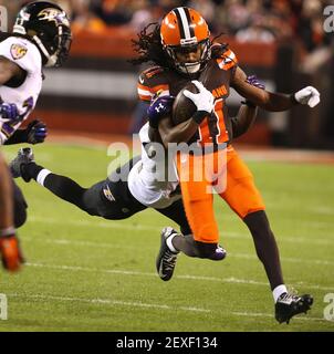 Cleveland Browns wide receiver Travis Benjamin runs the ball during  preseason NFL football game between the Browns and the St. Louis Rams  Saturday, Aug. 23, 2014, in Cleveland. (AP Photo/Tony Dejak Stock