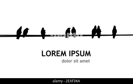 birds silhouette on electrical wires Stock Vector Image & Art - Alamy