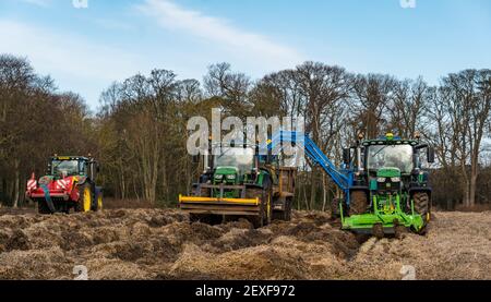 Tractor harvesting a carrot field at Luffness Mains Farm, East Lothian, Scotland, UK Stock Photo