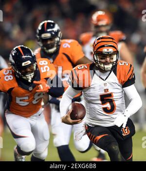 Denver Broncos quarterback Brett Rypien (4) takes part in drills during an  NFL football training camp session Monday, Aug. 5, 2019, in Englewood,  Colo. (AP Photo/David Zalubowski Stock Photo - Alamy