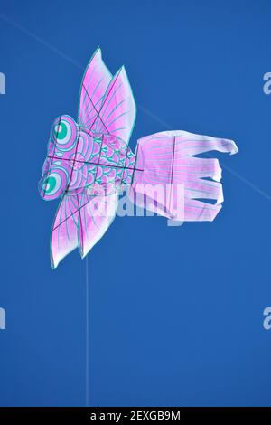 Kite Stock Photo