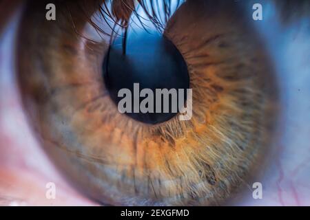 Close-up view on human eye and iris. Stock Photo