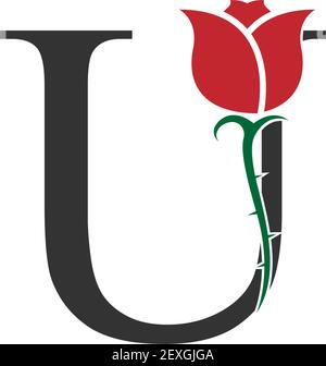Letter U logo icon with rose design vector illustration Stock Vector