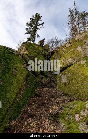 A vertical shot of a moss covered big rock on the coast of the ocean ...