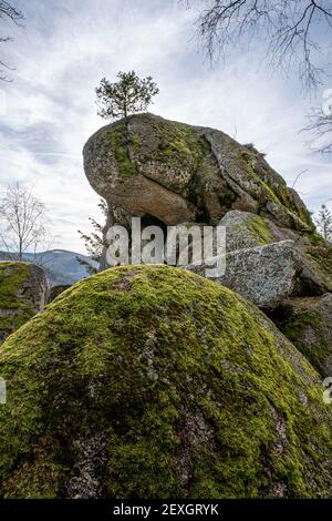 A vertical shot of a moss covered big rock on the coast of the ocean ...