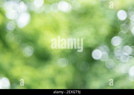 abstract art natural spring green background Stock Photo - Alamy