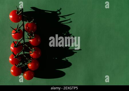 Cherry tomatoes on the branch on green background. Stock Photo