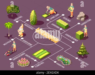 Landscaping isometric flowchart with garden designer green plants and decorations on purple background vector illustration Stock Vector